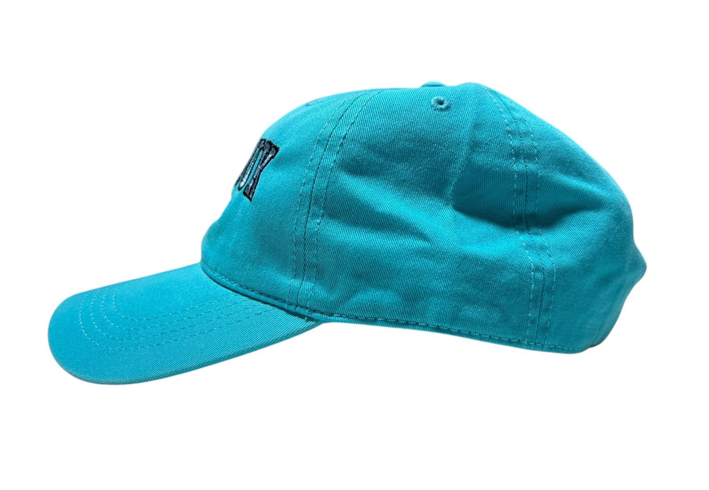 Adult Unisex Montauk Surf and Sports Embroidered Montauk The End Hat